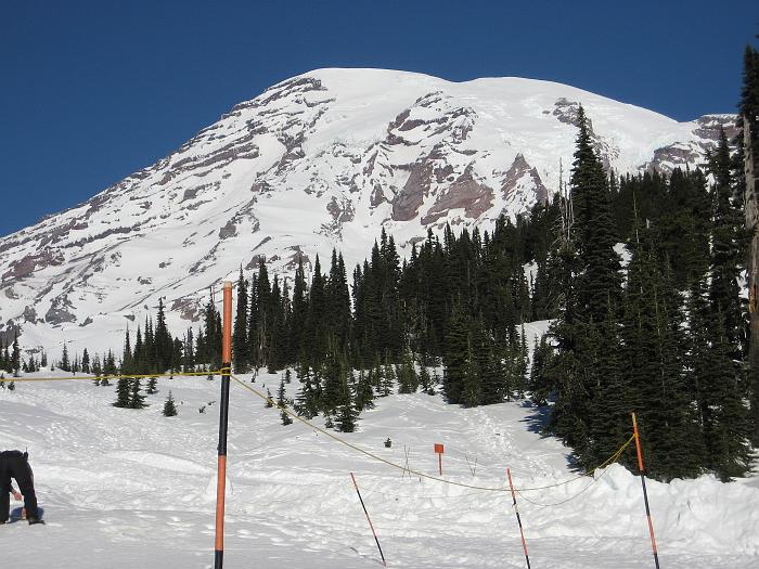 Mt Rainier_005